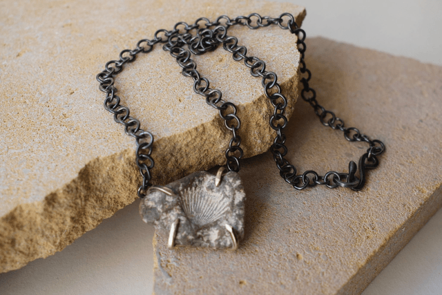 Collier Coquillage Fossile 